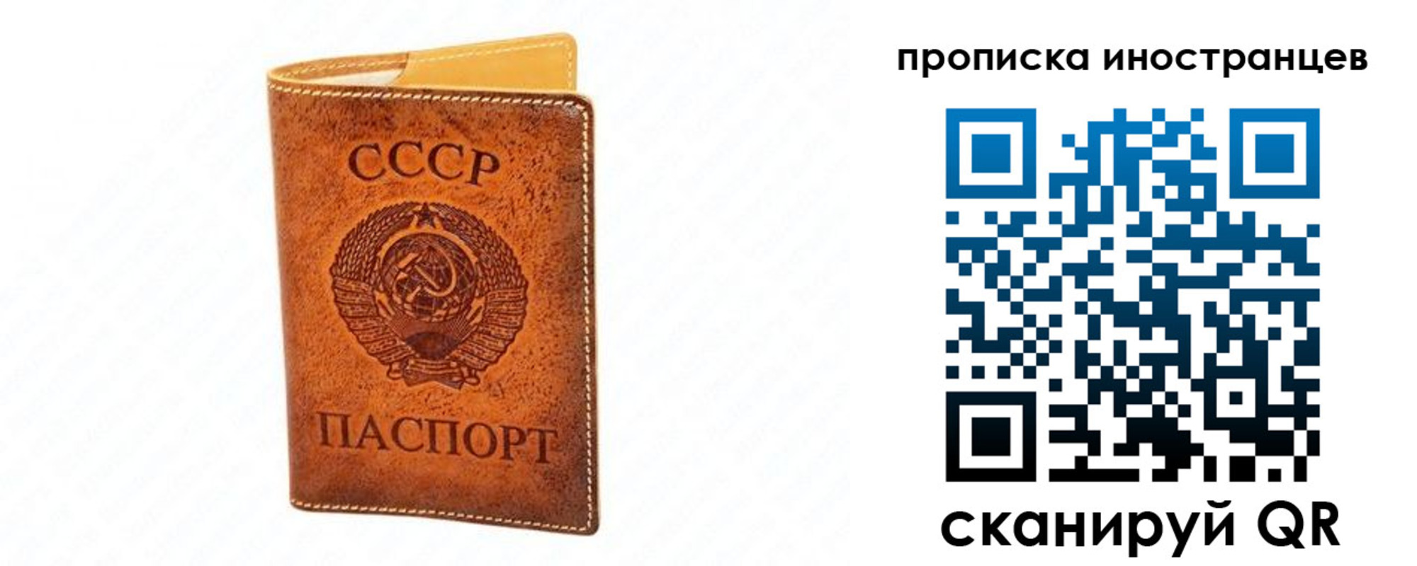 прописка для школы в Алексеевке